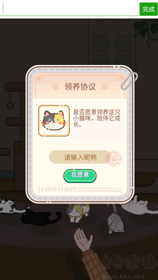 领养一只流浪猫