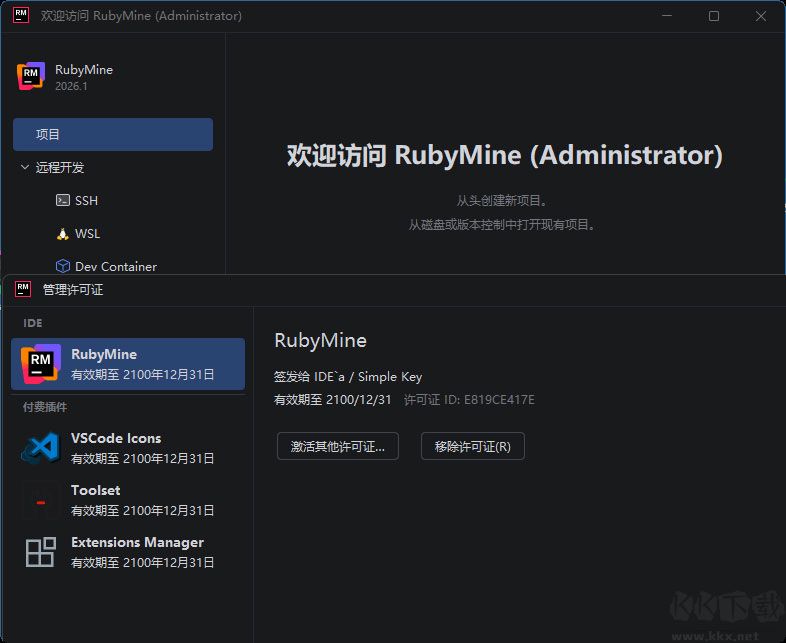 RubyMine