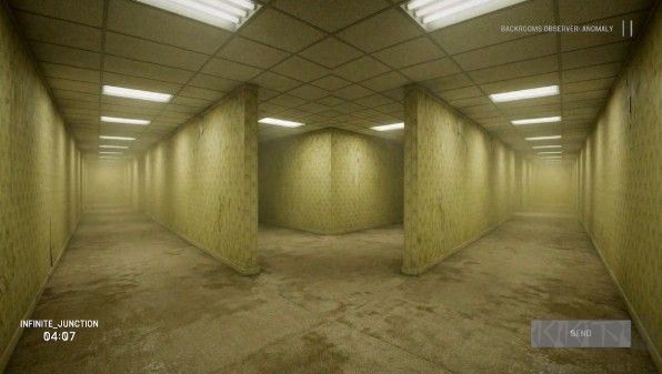 后室观察者异常