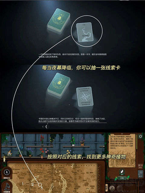 奇异园艺