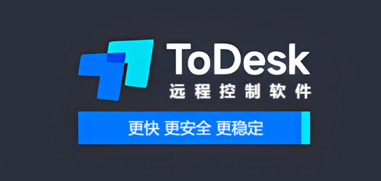ToDesk版本大全
