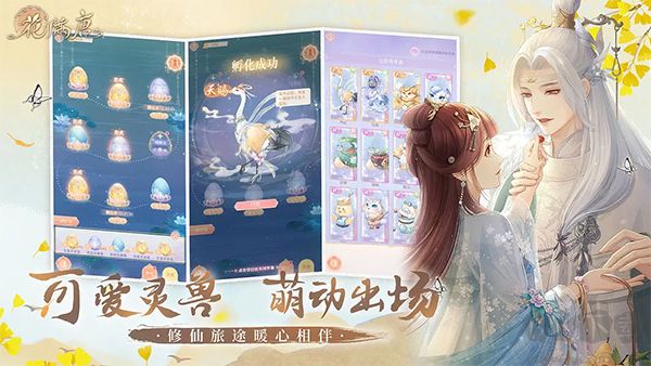 代号花神