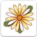 月经期记录app最新版 v1.2.32手机版