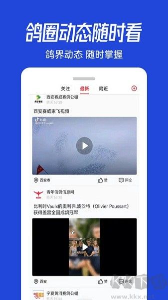 青鸽网app