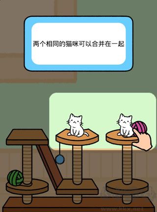 猫咪公寓福利版