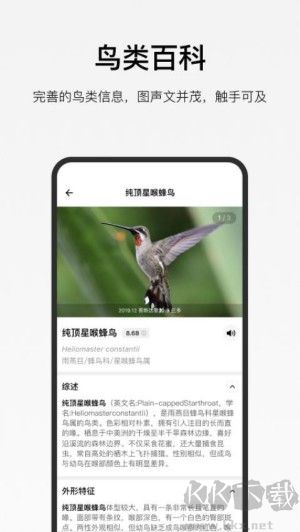 懂鸟app安卓版