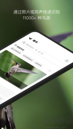懂鸟app安卓版