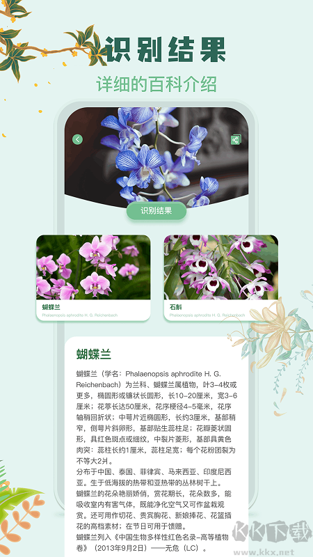 识花君app最新版