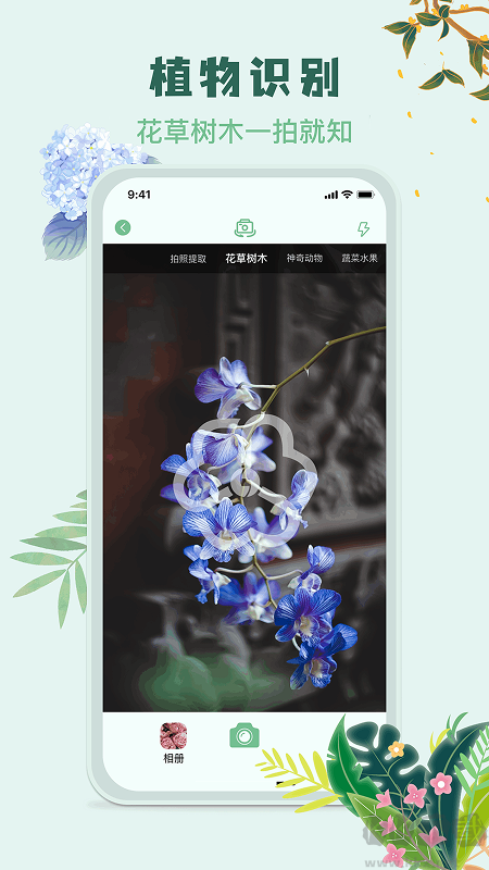 识花君app最新版