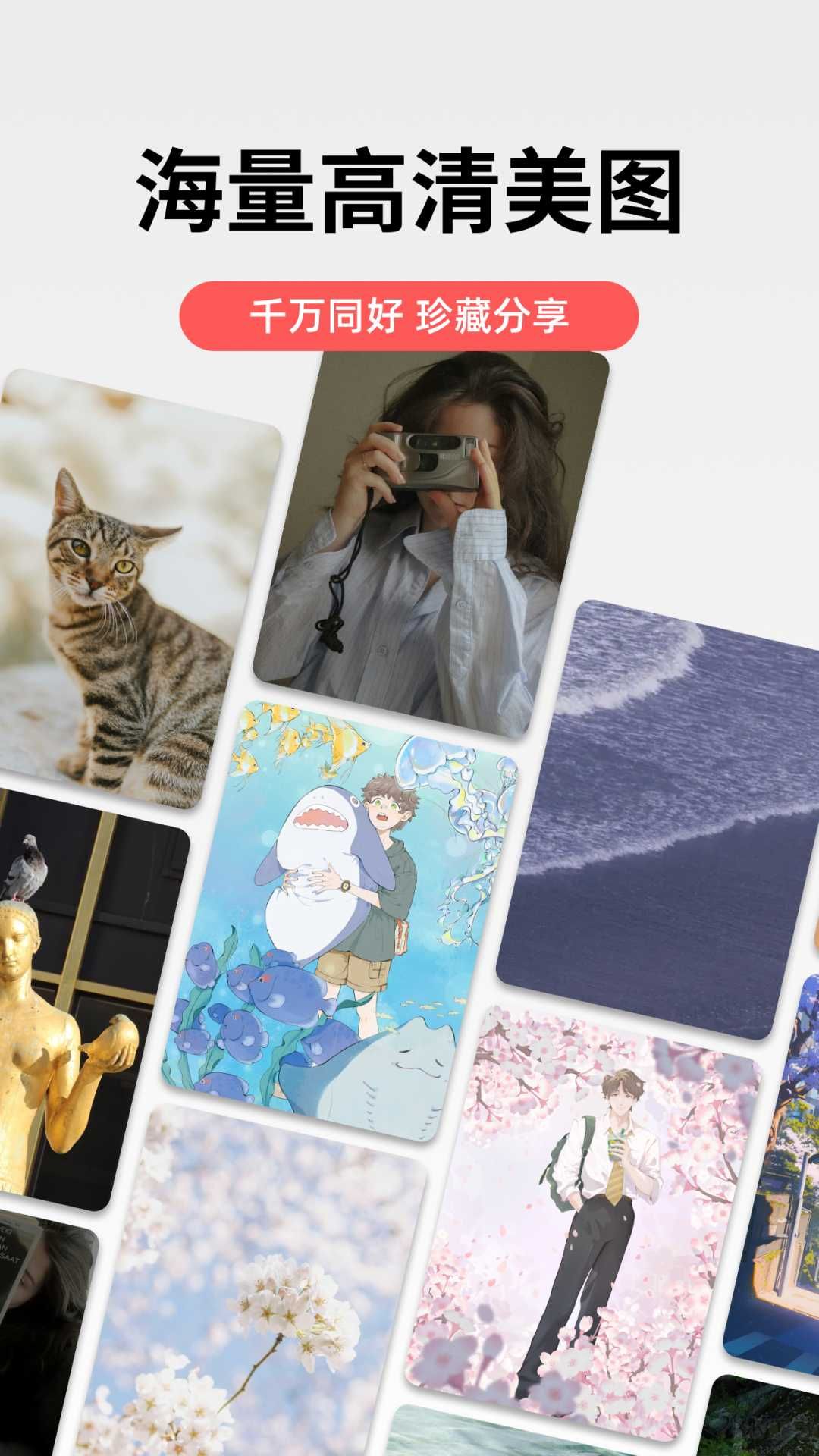 堆糖app手机版
