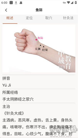 扁鹊中医安卓版