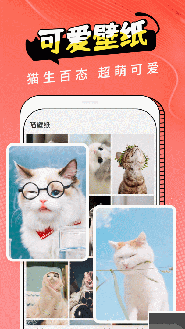 猫翻译官方版