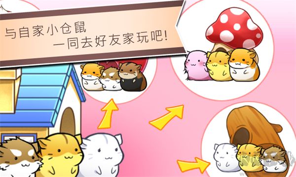 仓鼠的生活游戏(Hamster Life)