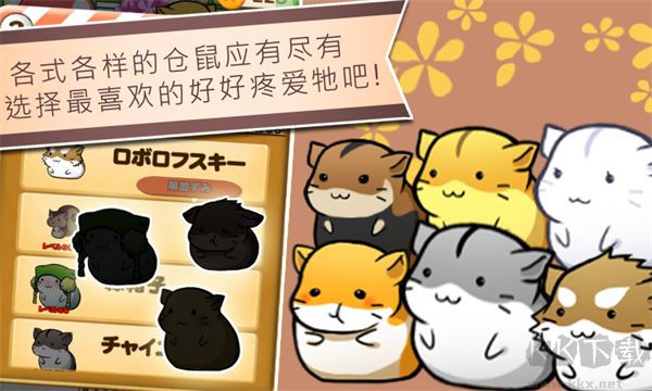 仓鼠的生活游戏(Hamster Life)