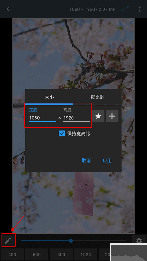 照片编辑器最新版