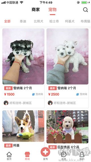 宠物王国