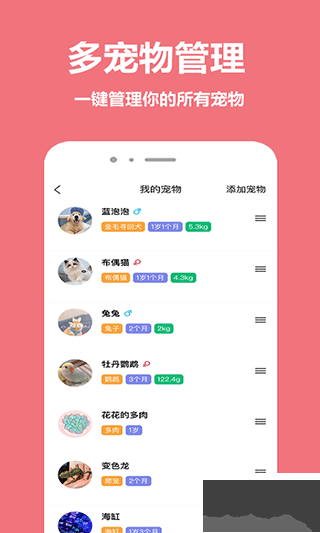 宠物王国