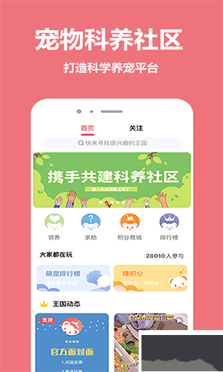 宠物王国