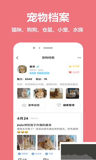 宠物王国