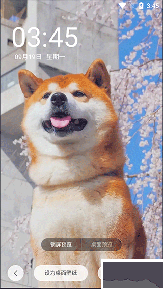 百变锁屏君
