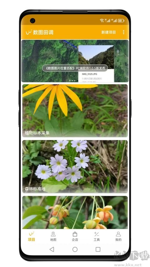 数图田调