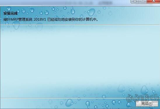 绿叶MRP管理系统2024