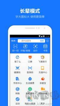 支付宝app