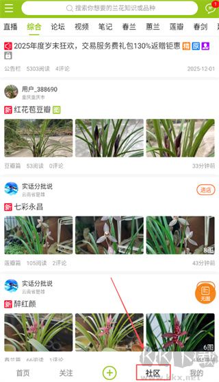 兰花交易网app
