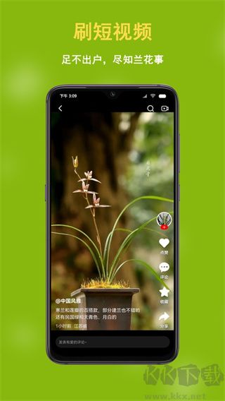 兰花交易网app
