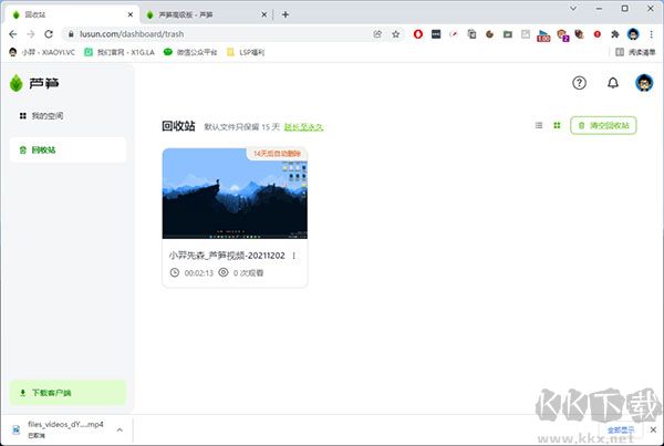 芦笋录屏免费版