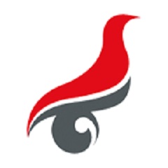 学信网v0.9.13.5官方版