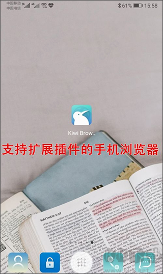 kiwibrowser中文版