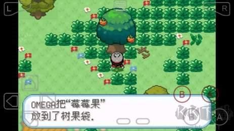 口袋妖怪剑盾加强版