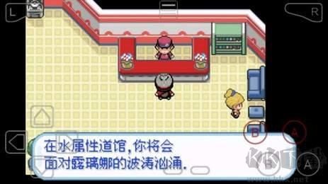口袋妖怪剑盾加强版