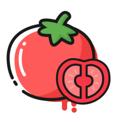 番茄轻断食app v3.4.21免费版