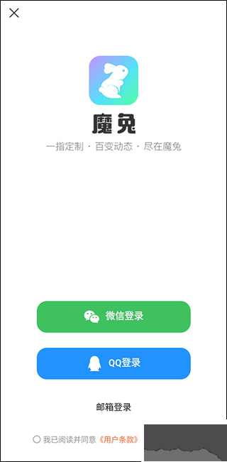 魔兔live2d免费版