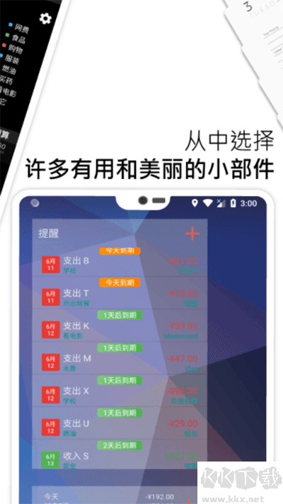 bluecoins软件