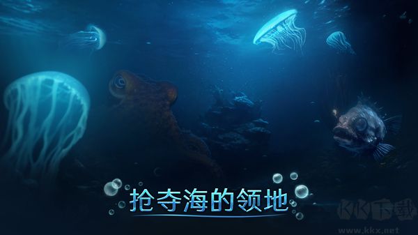 小小水世界