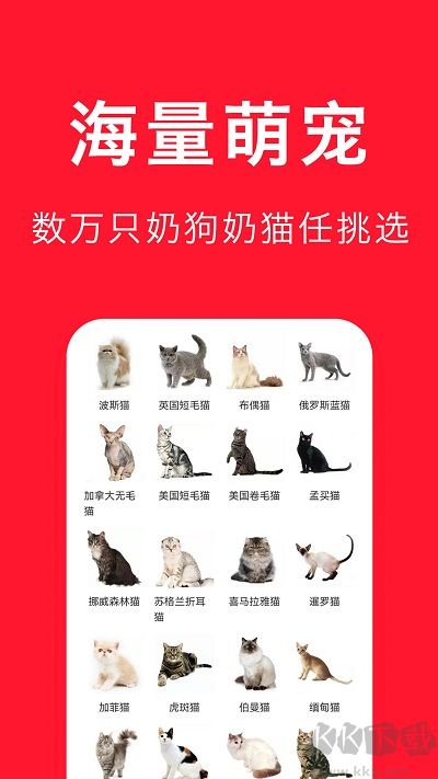 宠物宝