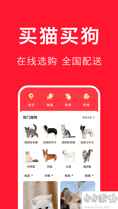宠物宝