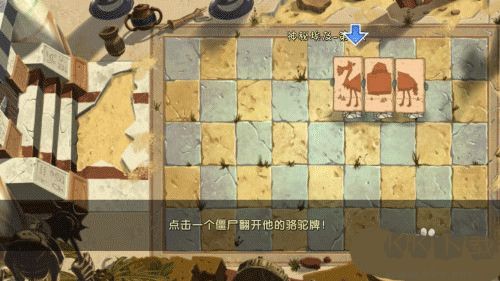 植物大战僵尸2