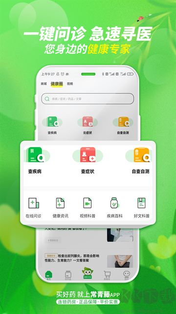 常青藤网上药店