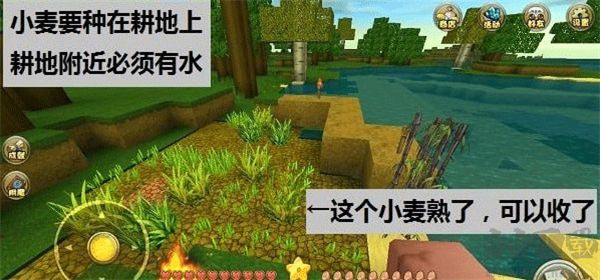 迷你世界