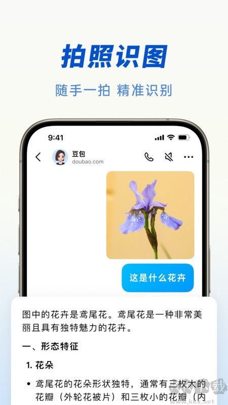 豆包app