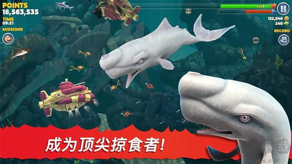 饥饿鲨进化