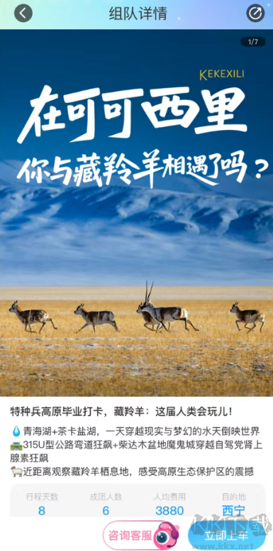 墨鱼旅行