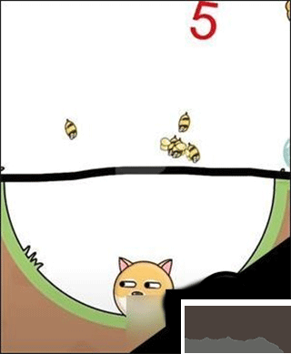 我的狗狗