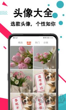 好看手机壁纸免费版