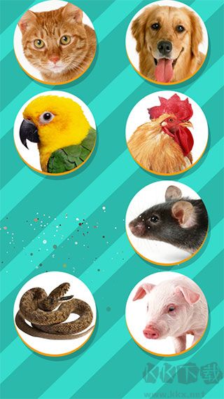 PetTranslator动物语言翻译器