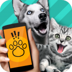 PetTranslator动物语言翻译器 v1.1中文版
